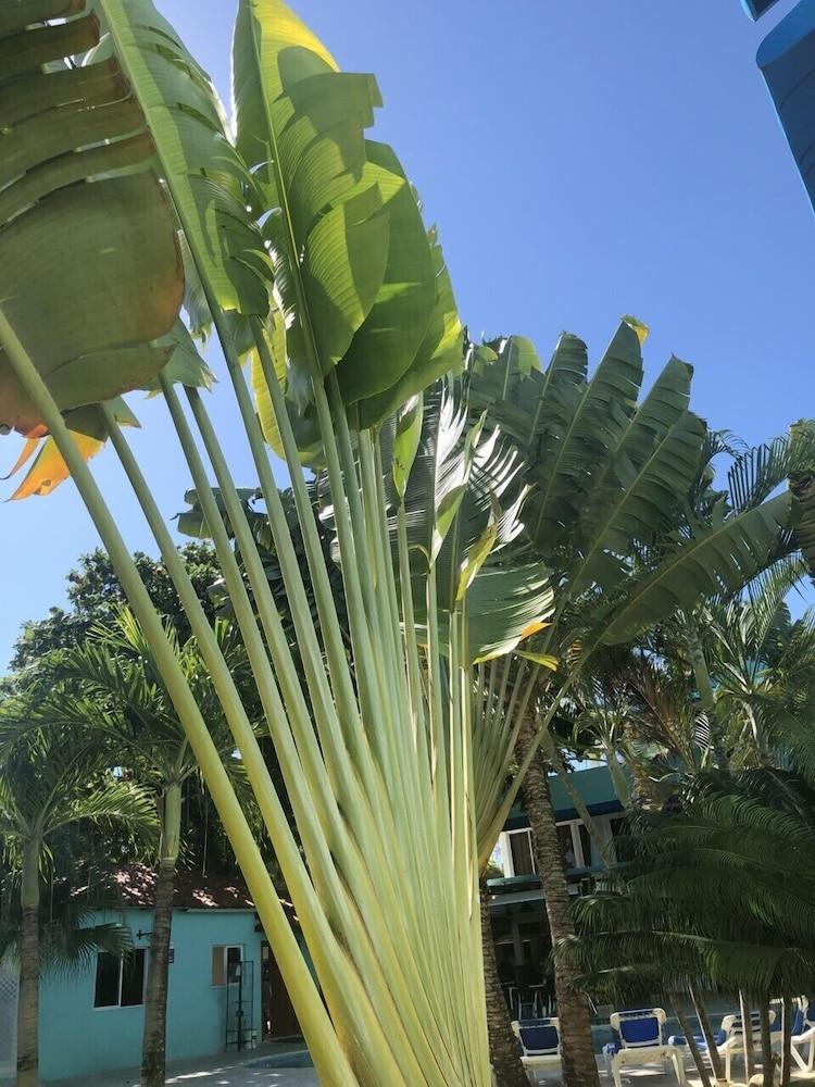 New Garden Hotel Sosúa Dış mekan fotoğraf