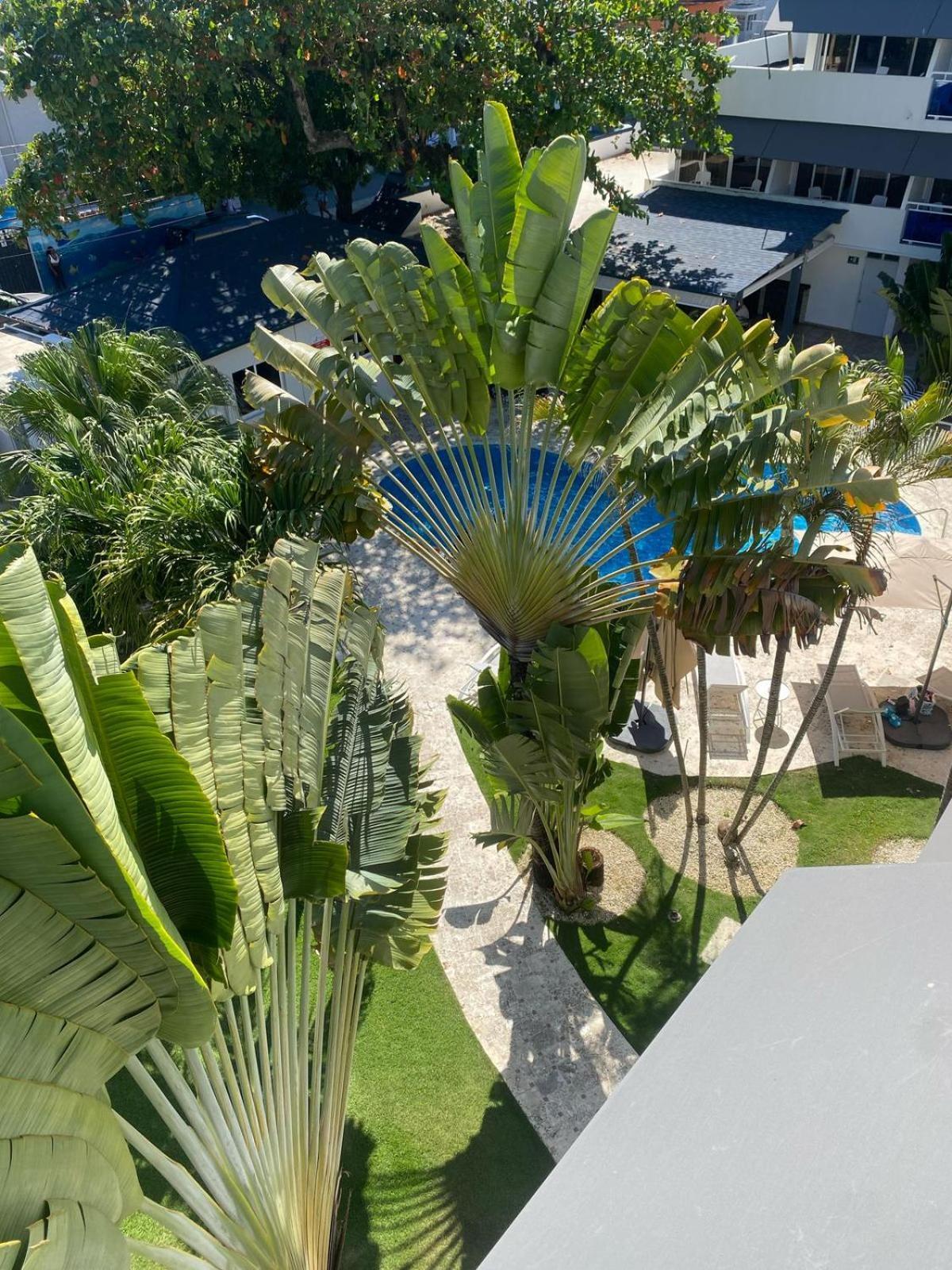 New Garden Hotel Sosúa Dış mekan fotoğraf